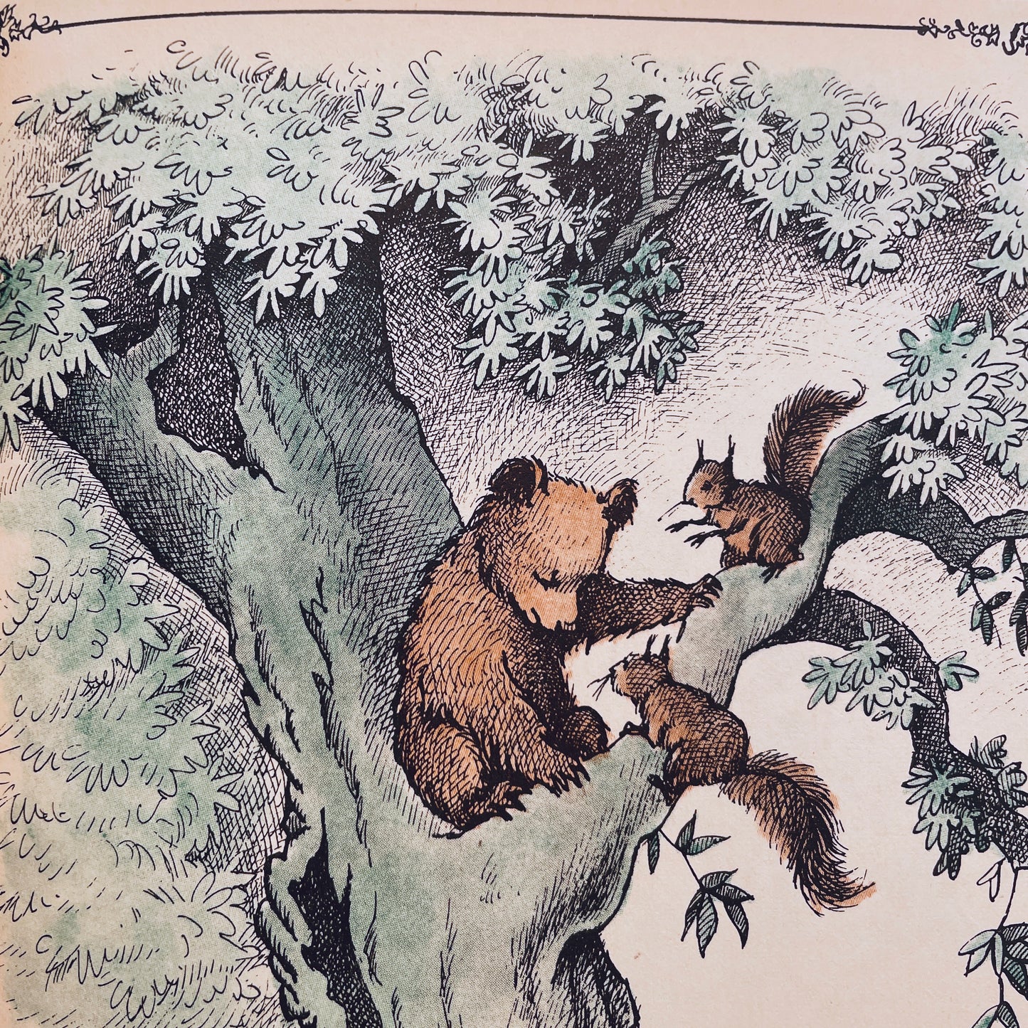 Little Bear's Friend