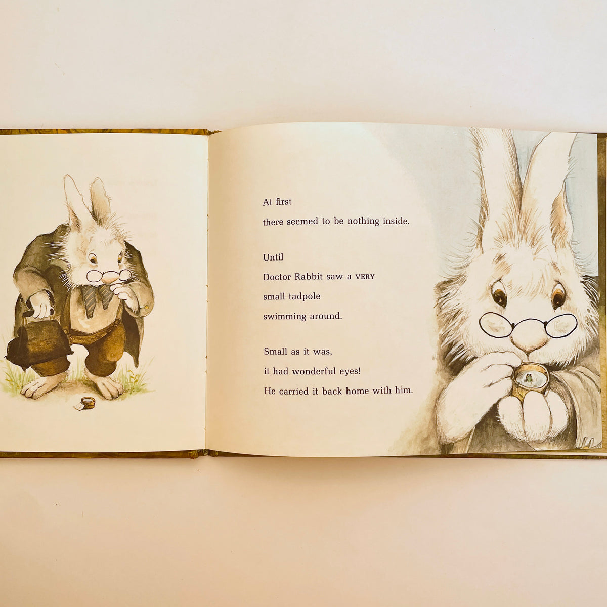 Doctor Rabbit's Foundling