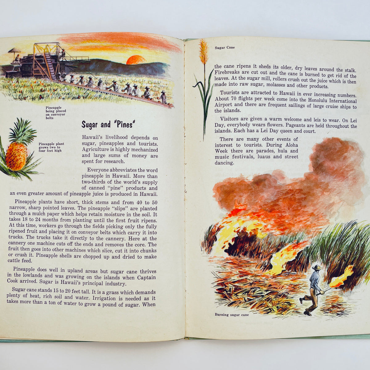 A Maxton Book About Hawaii