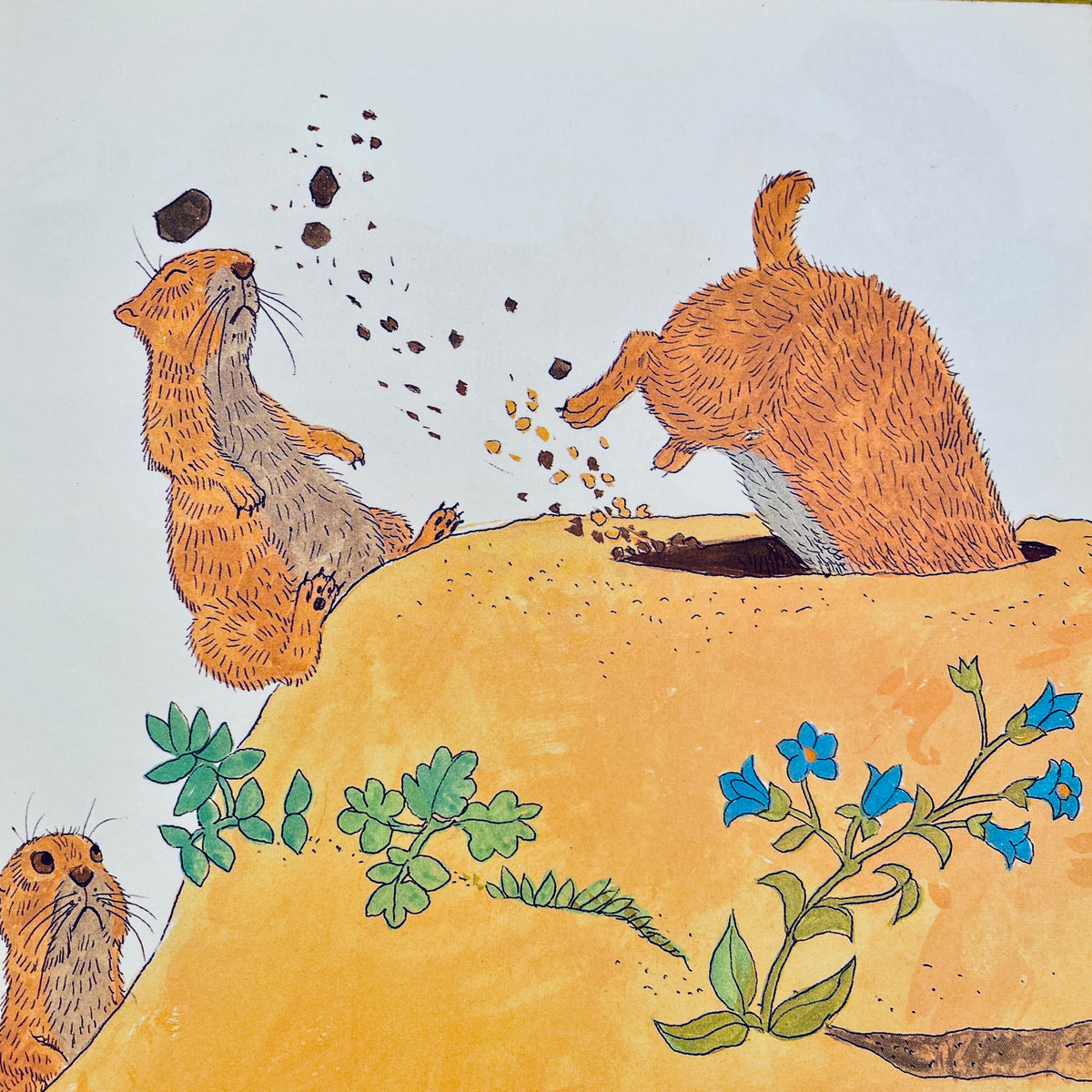 Animal Homes