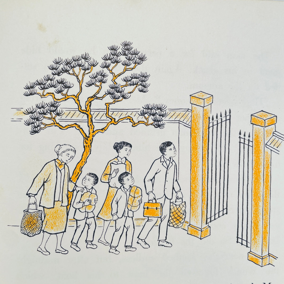 The Boy in The Rooftop School