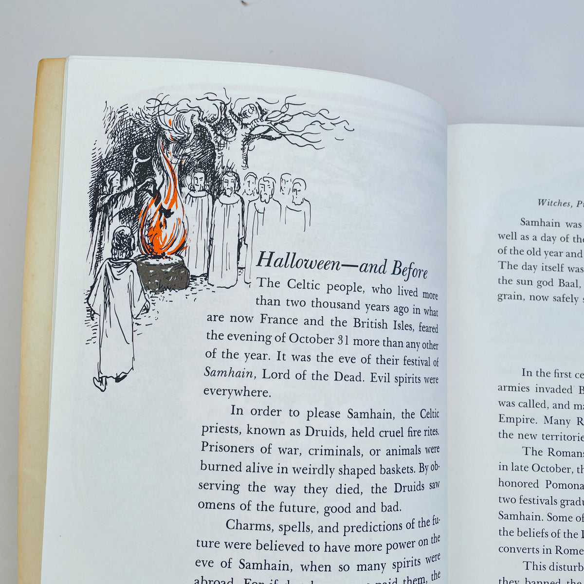 Witches, Pumpkins, and Grinning Ghosts: The Story of the Halloween Symbols