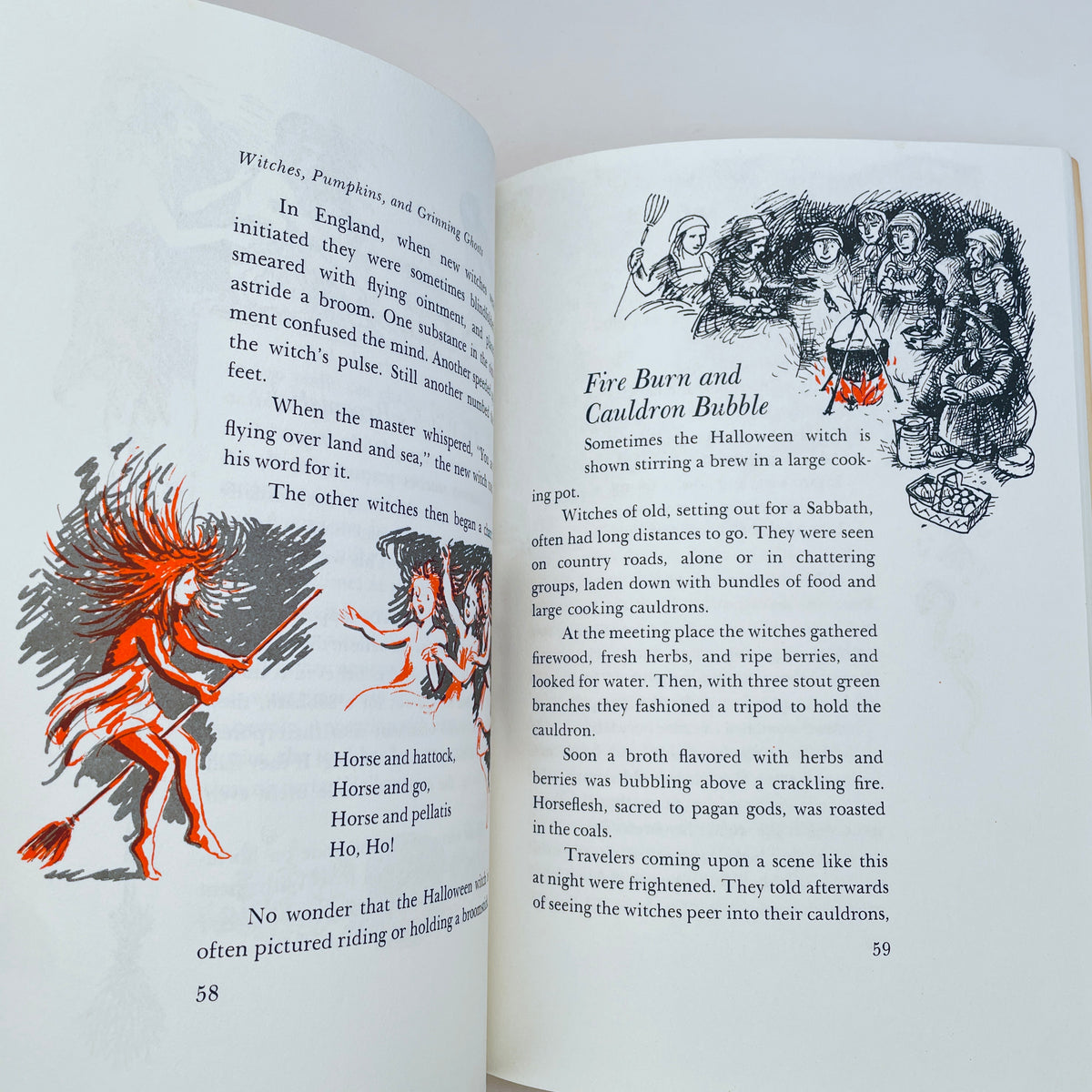 Witches, Pumpkins, and Grinning Ghosts: The Story of the Halloween Symbols