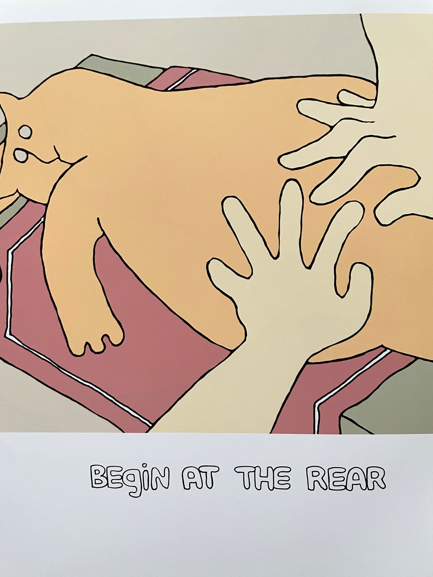 How to Massage Your Cat