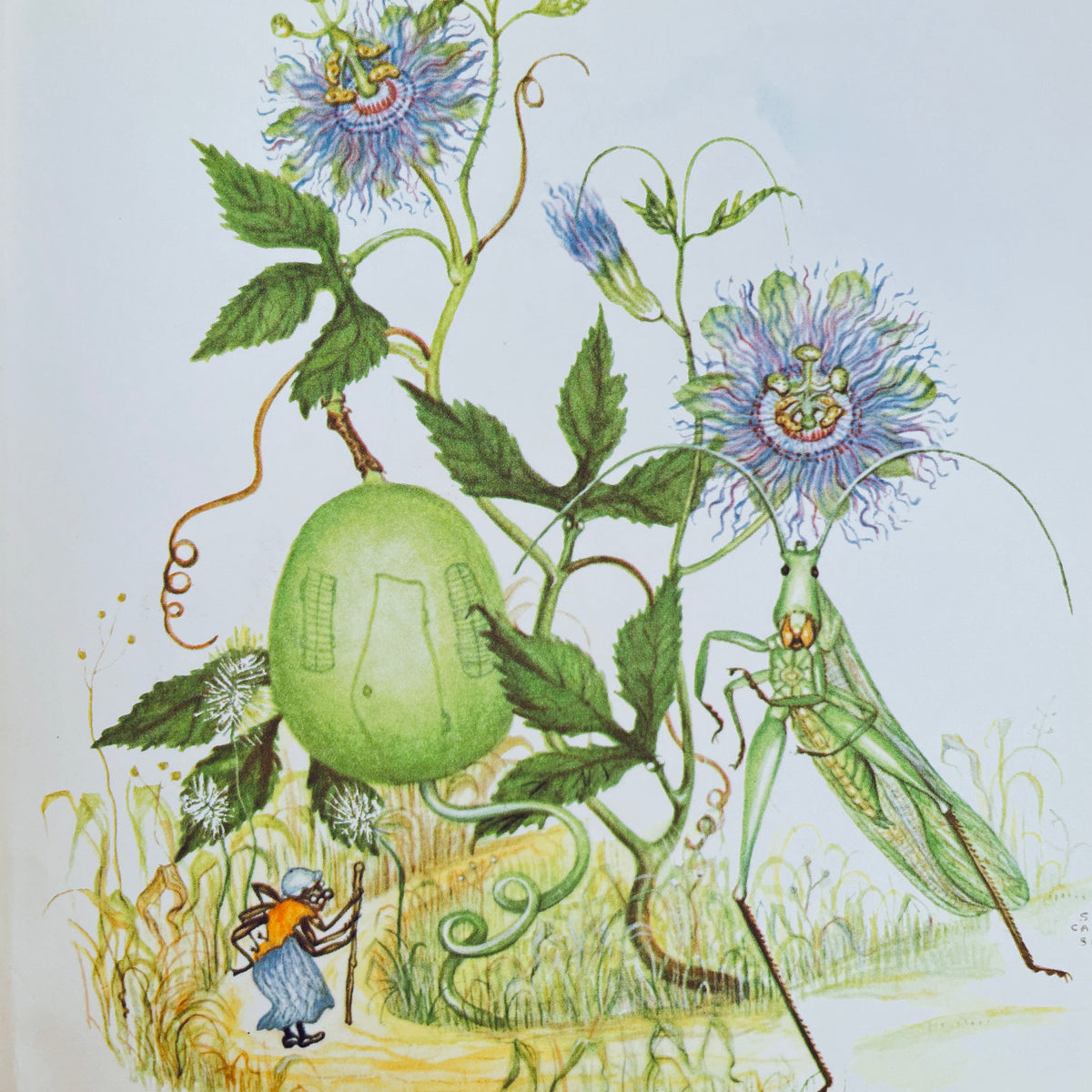 Hey, Bug! and Other Poems About Little Things