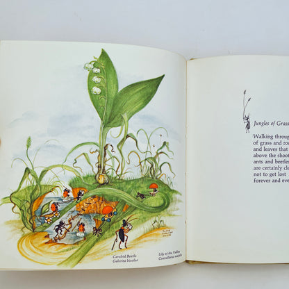 Hey, Bug! and Other Poems About Little Things