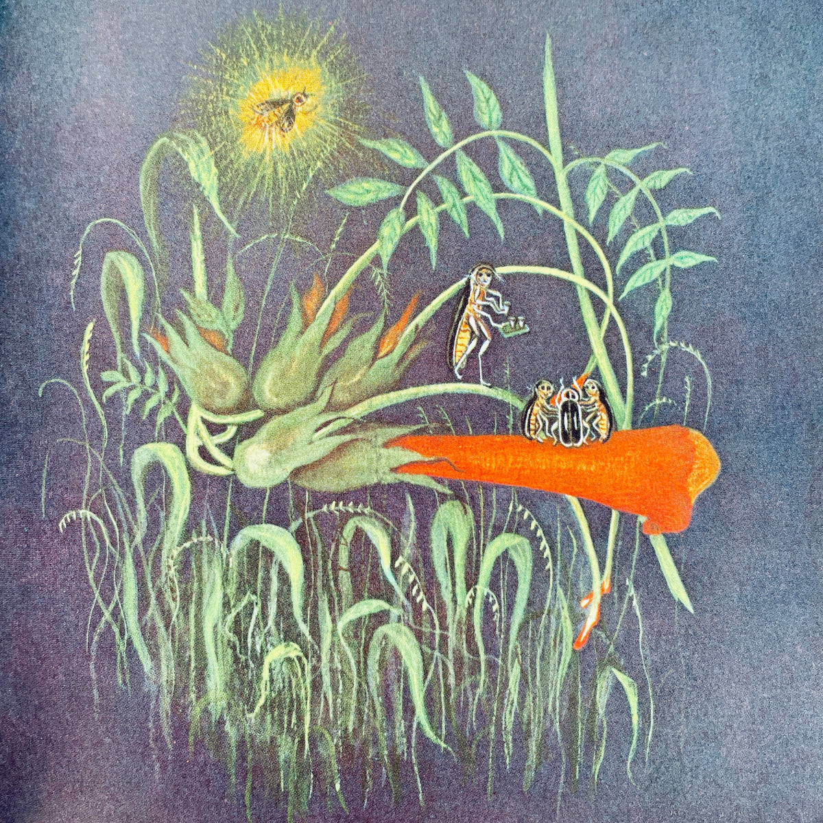 Hey, Bug! and Other Poems About Little Things