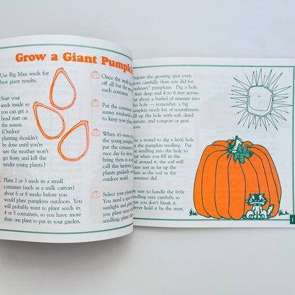 In a Pumpkin Shell
