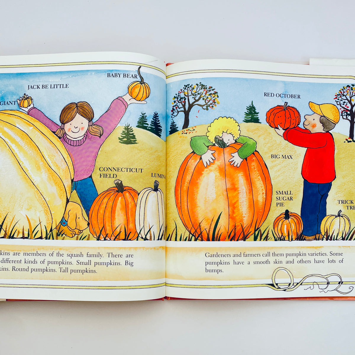 The Pumpkin Book