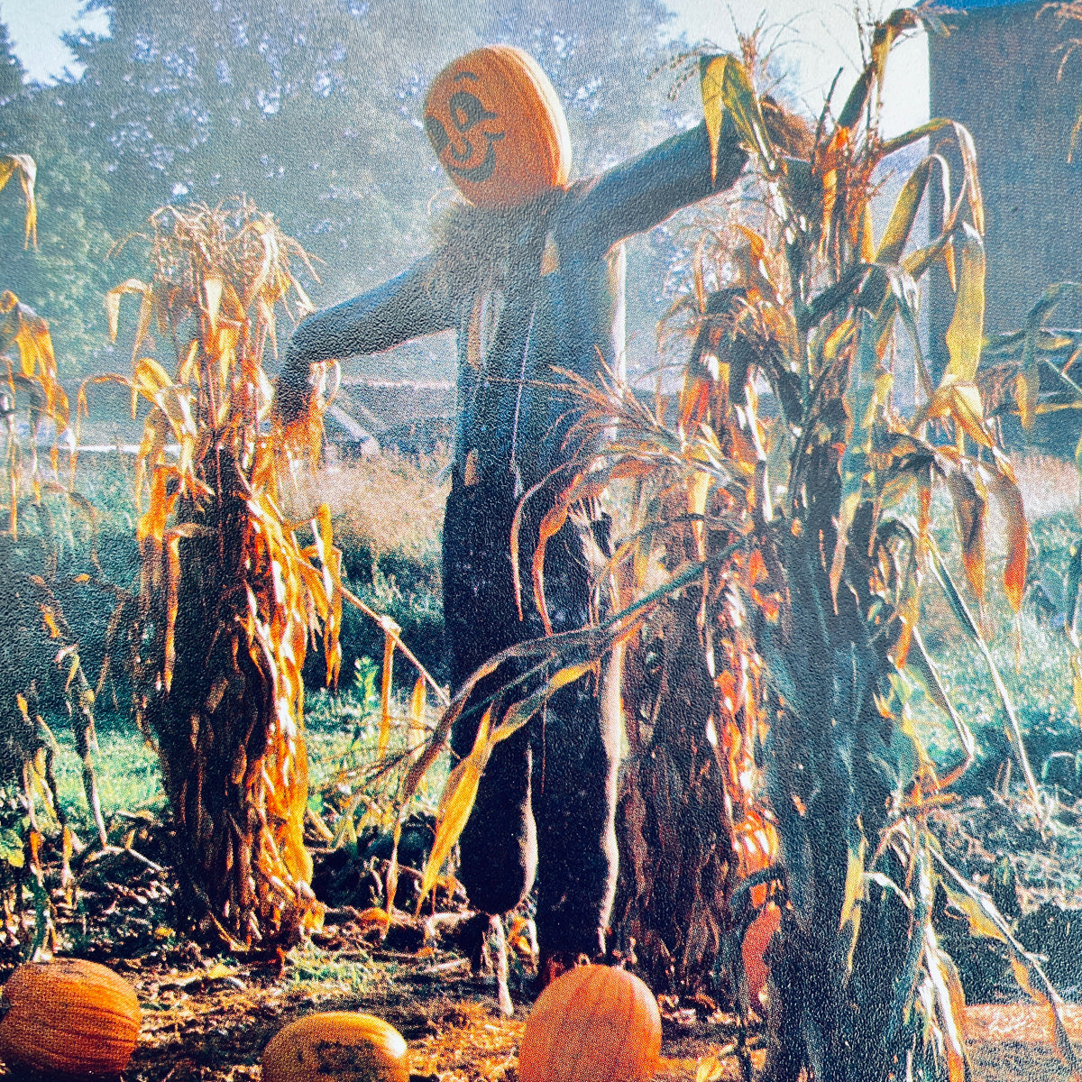 What Happens in the Autumn