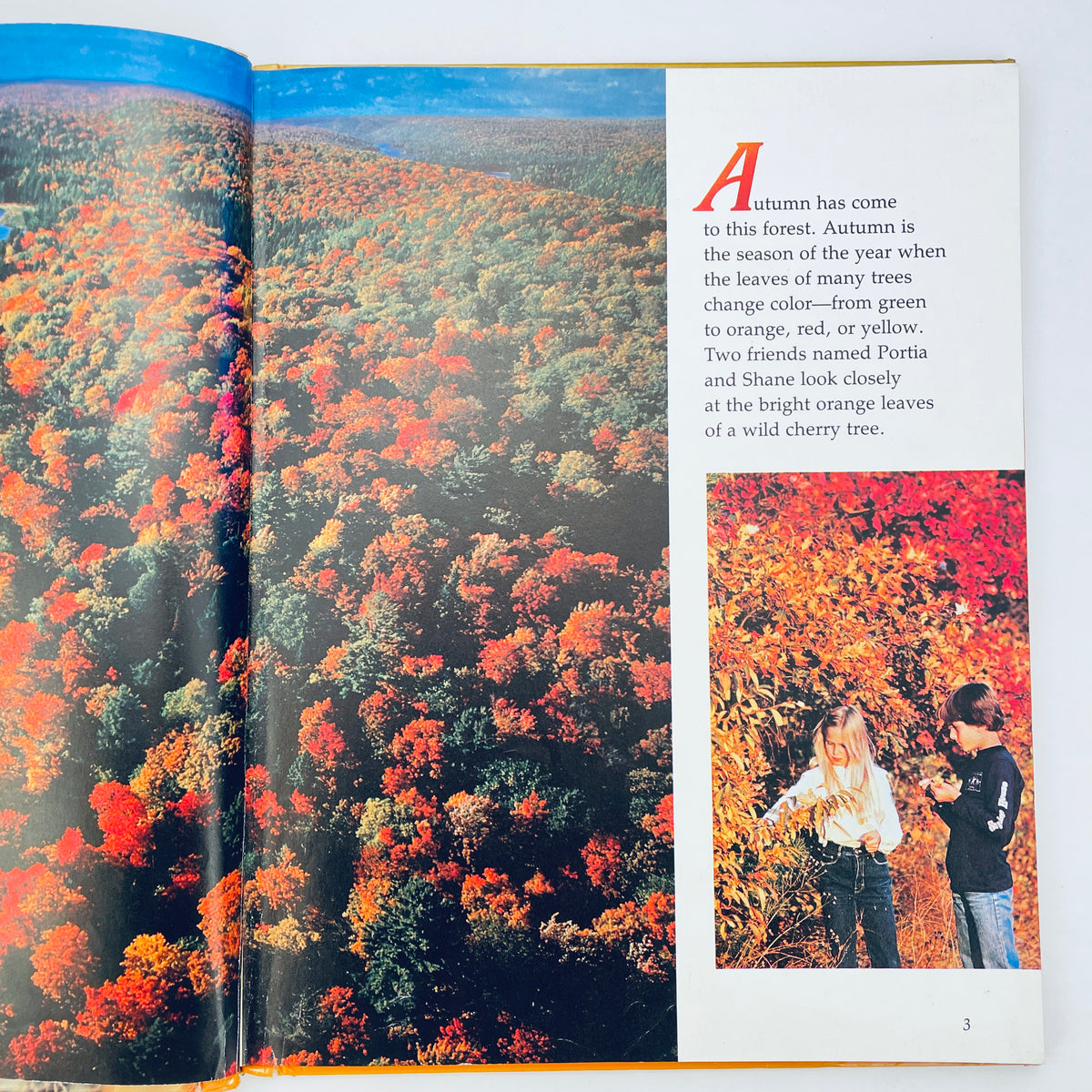 What Happens in the Autumn