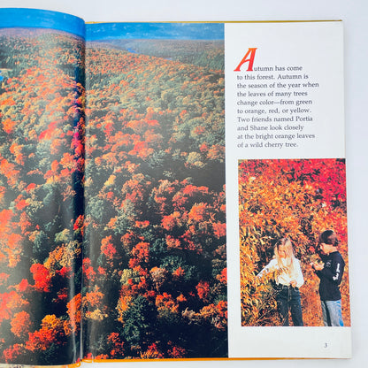 What Happens in the Autumn