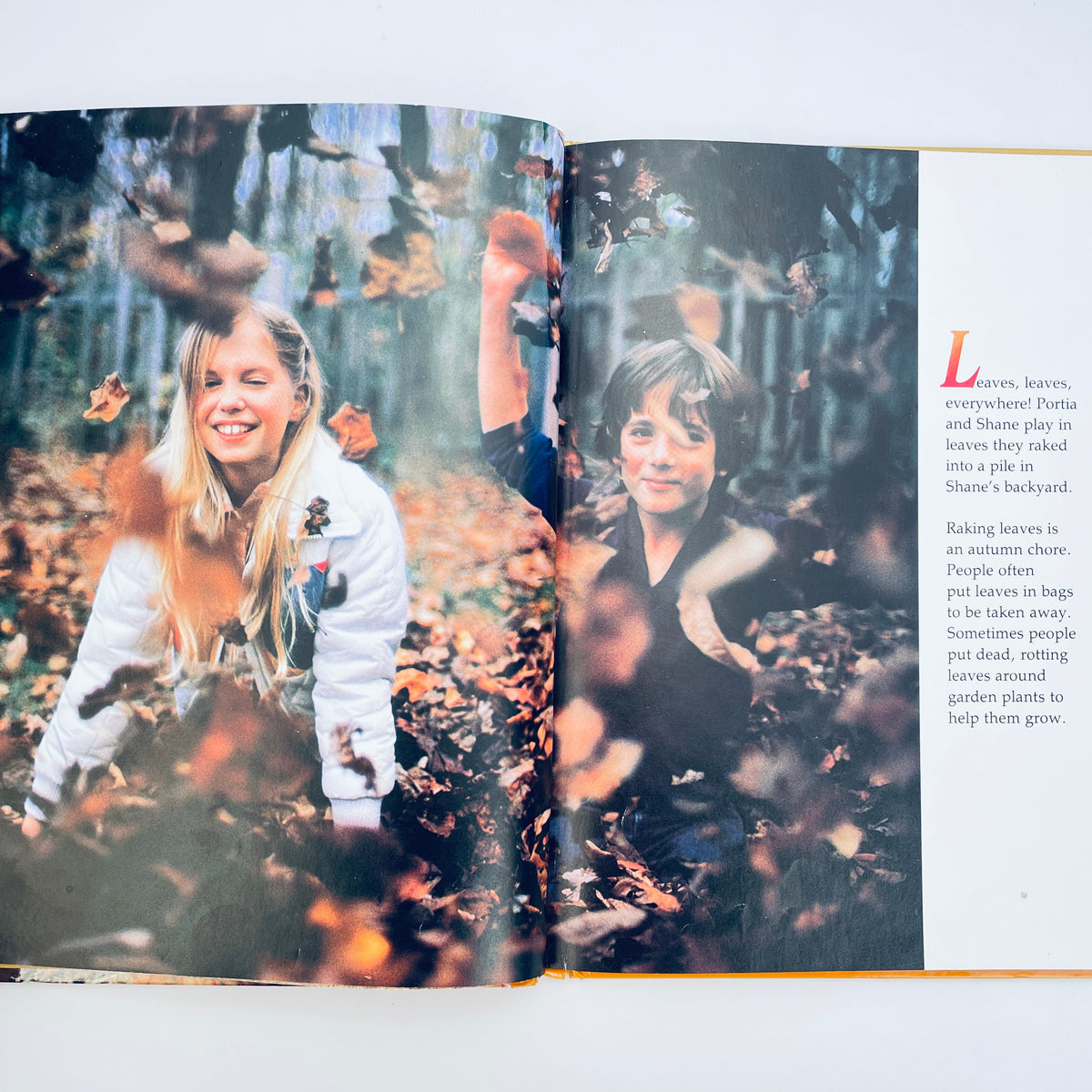What Happens in the Autumn