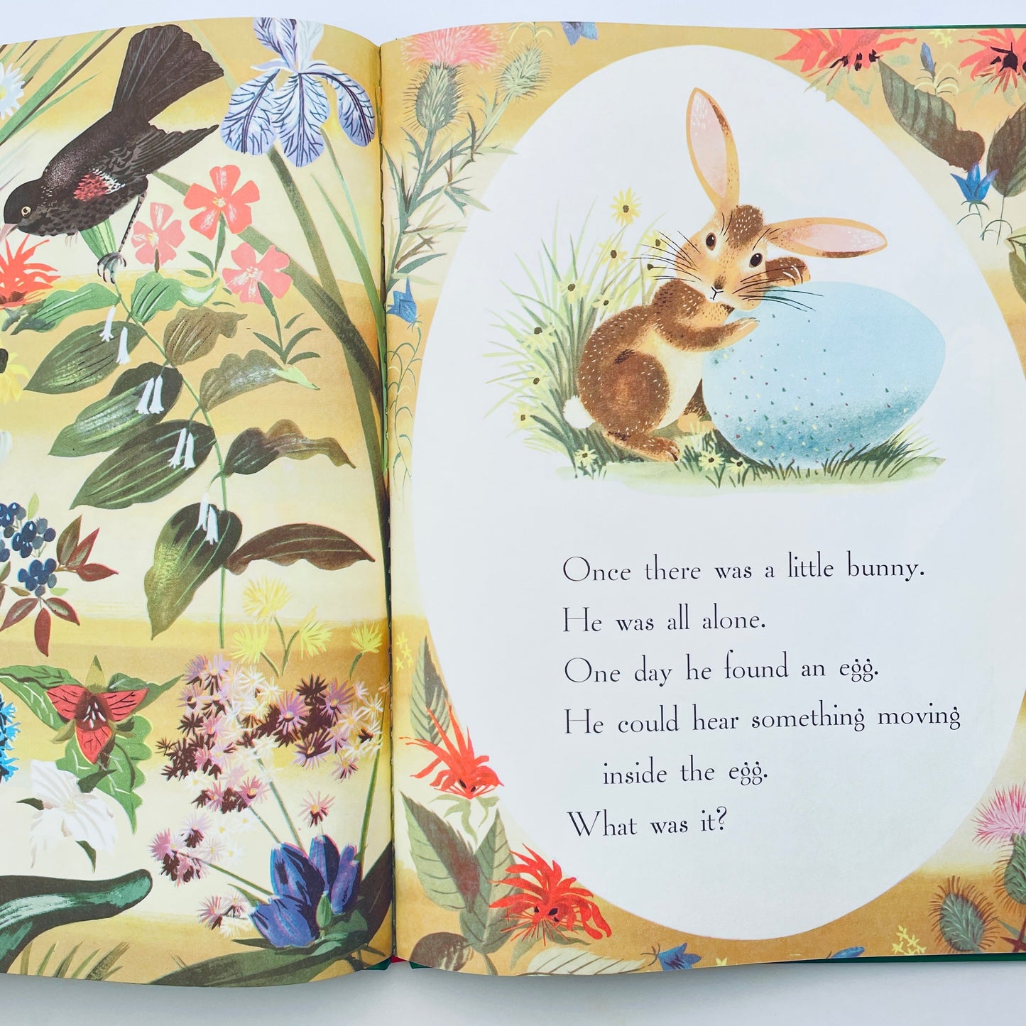 The Golden Egg Book