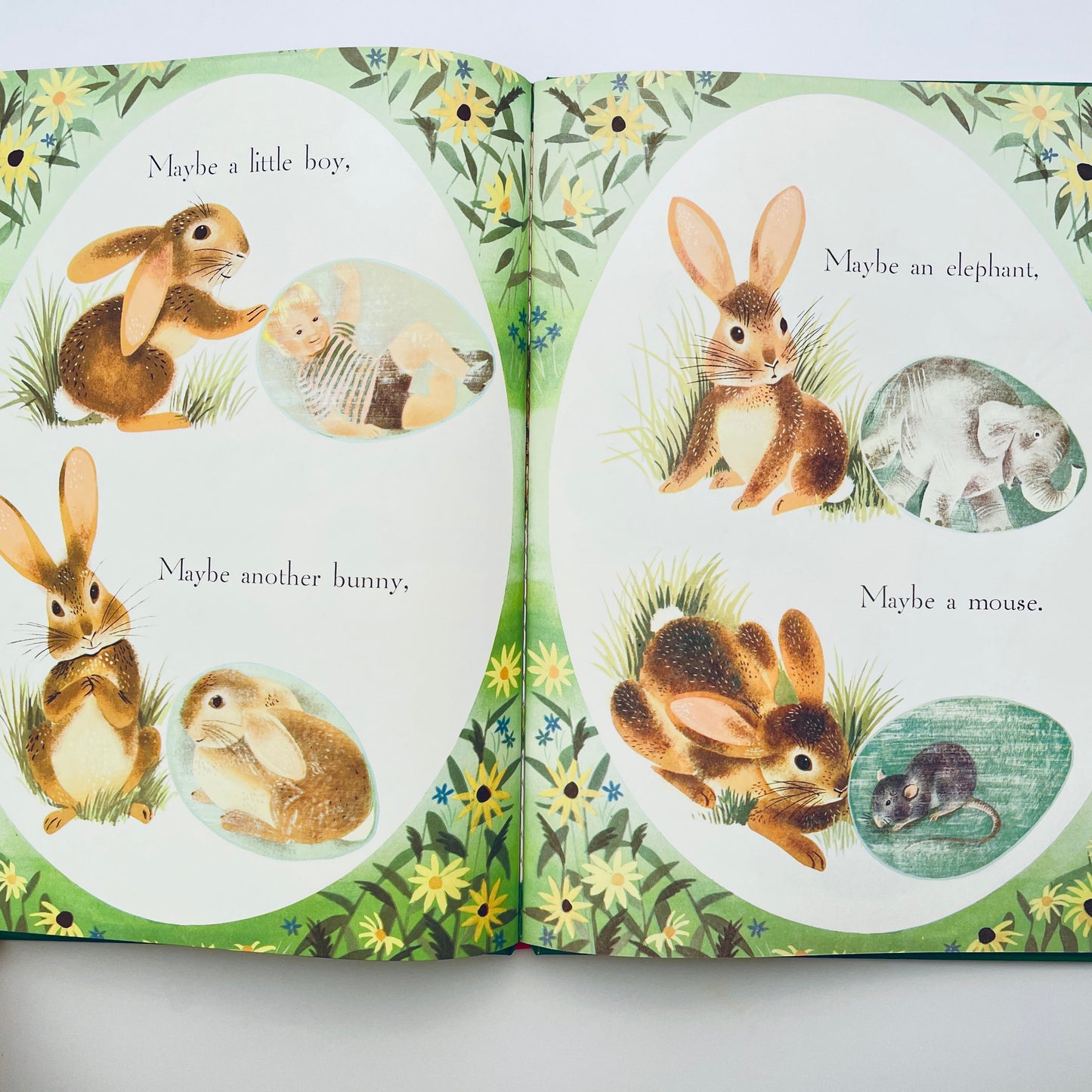 The Golden Egg Book