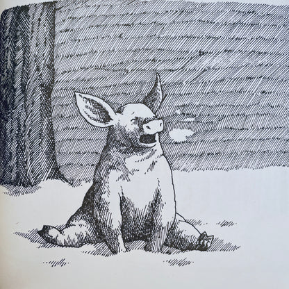 Winter Hut