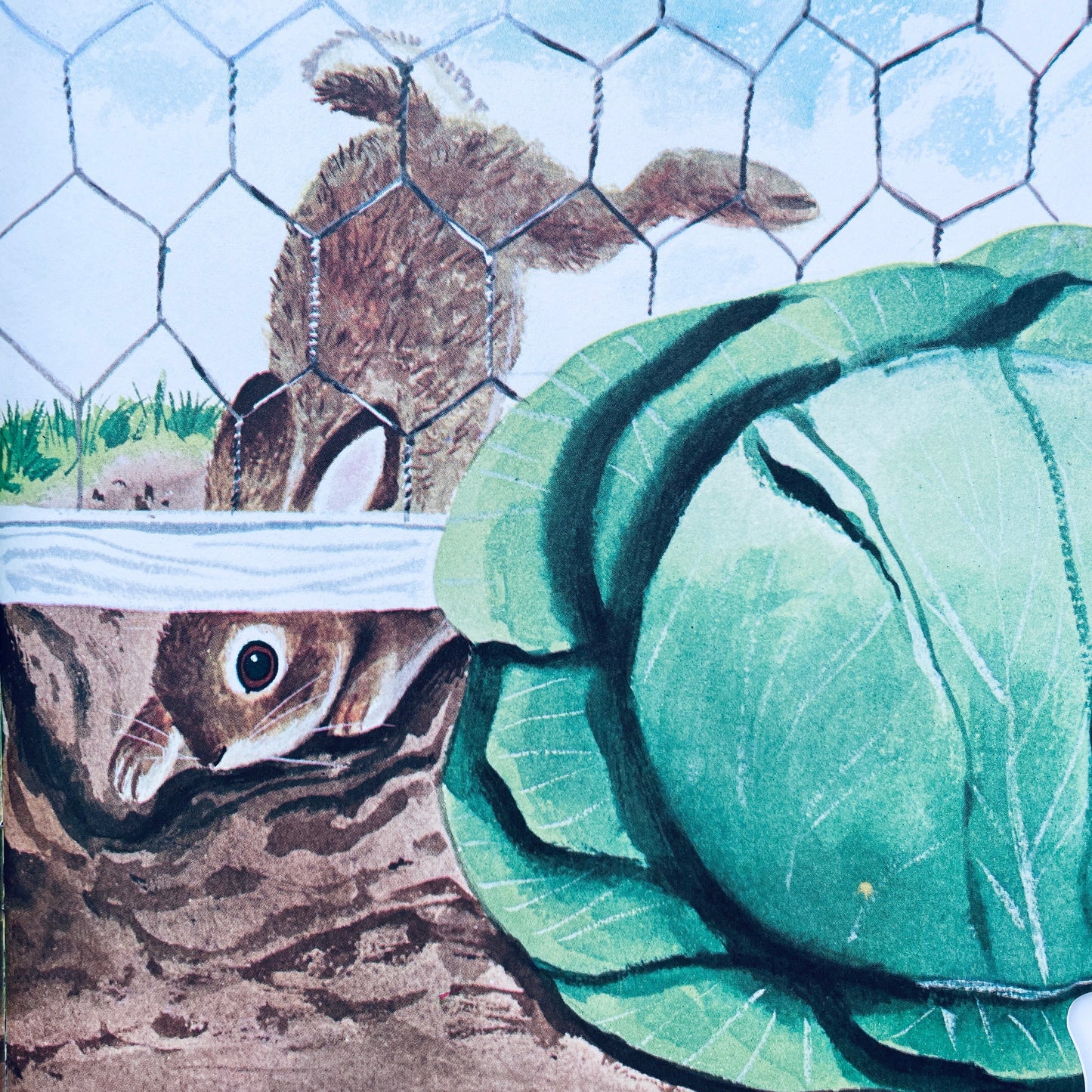 The Bunny Book