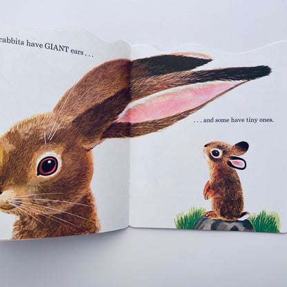 The Bunny Book