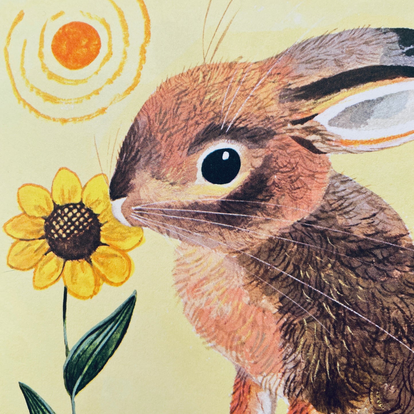 The Bunny Book