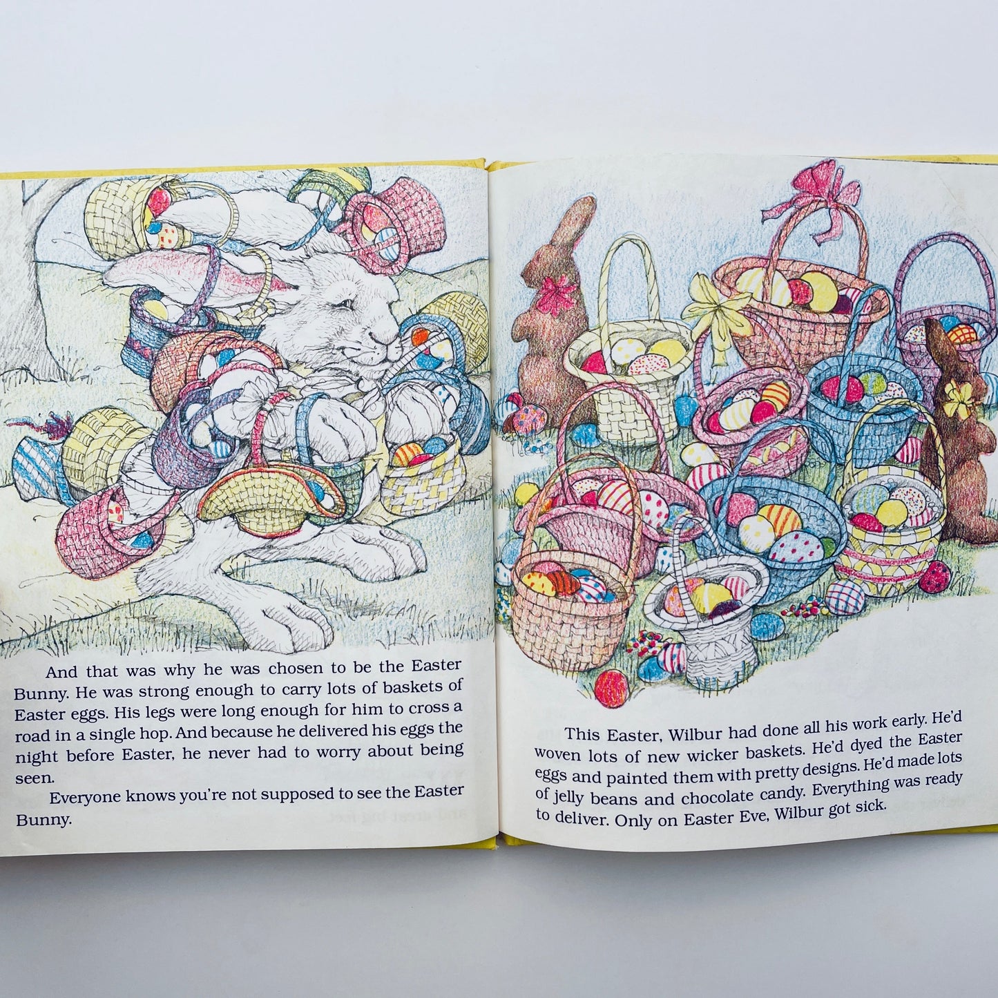 The Big Bunny and the Easter Eggs