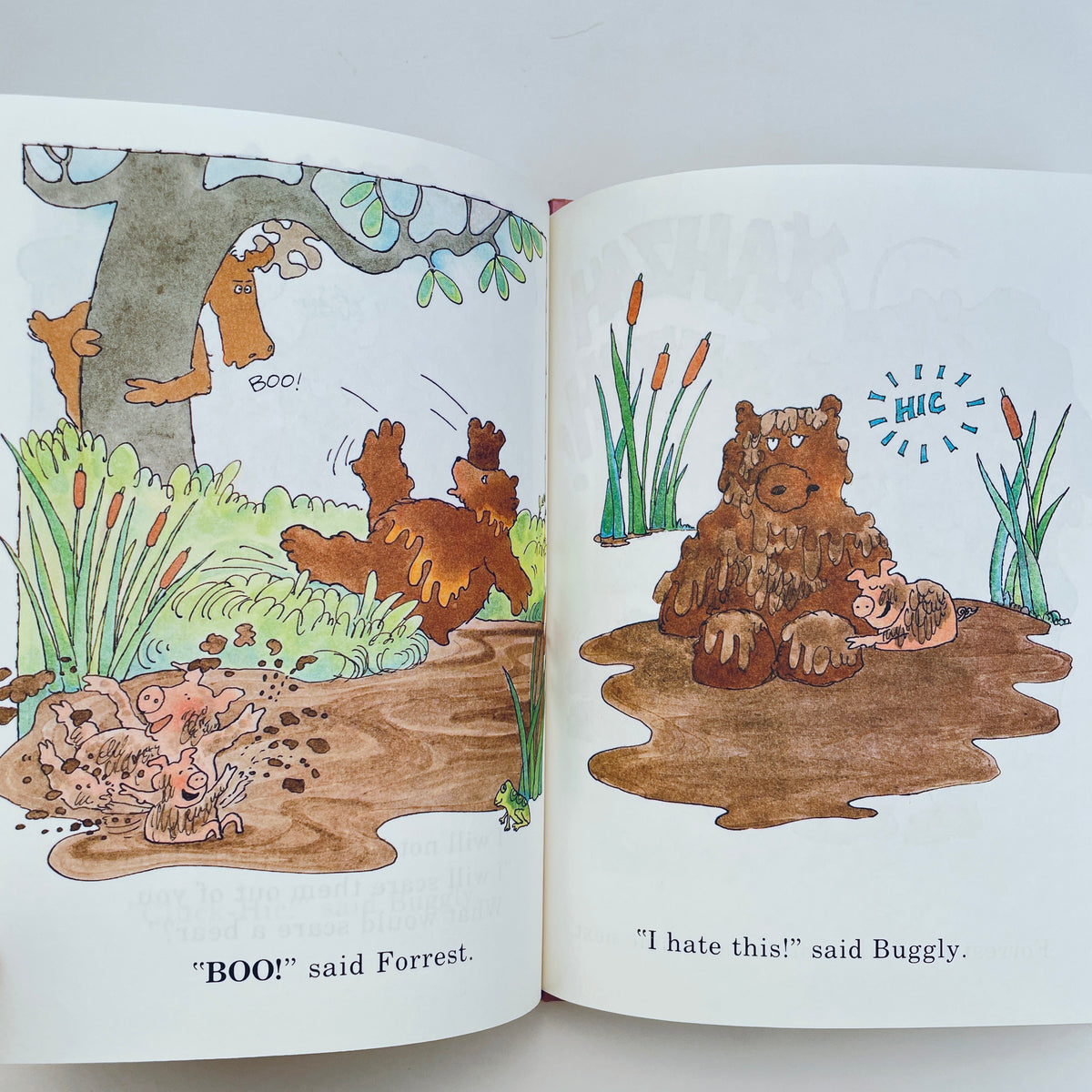 Buggly Bear's Hiccup Cure