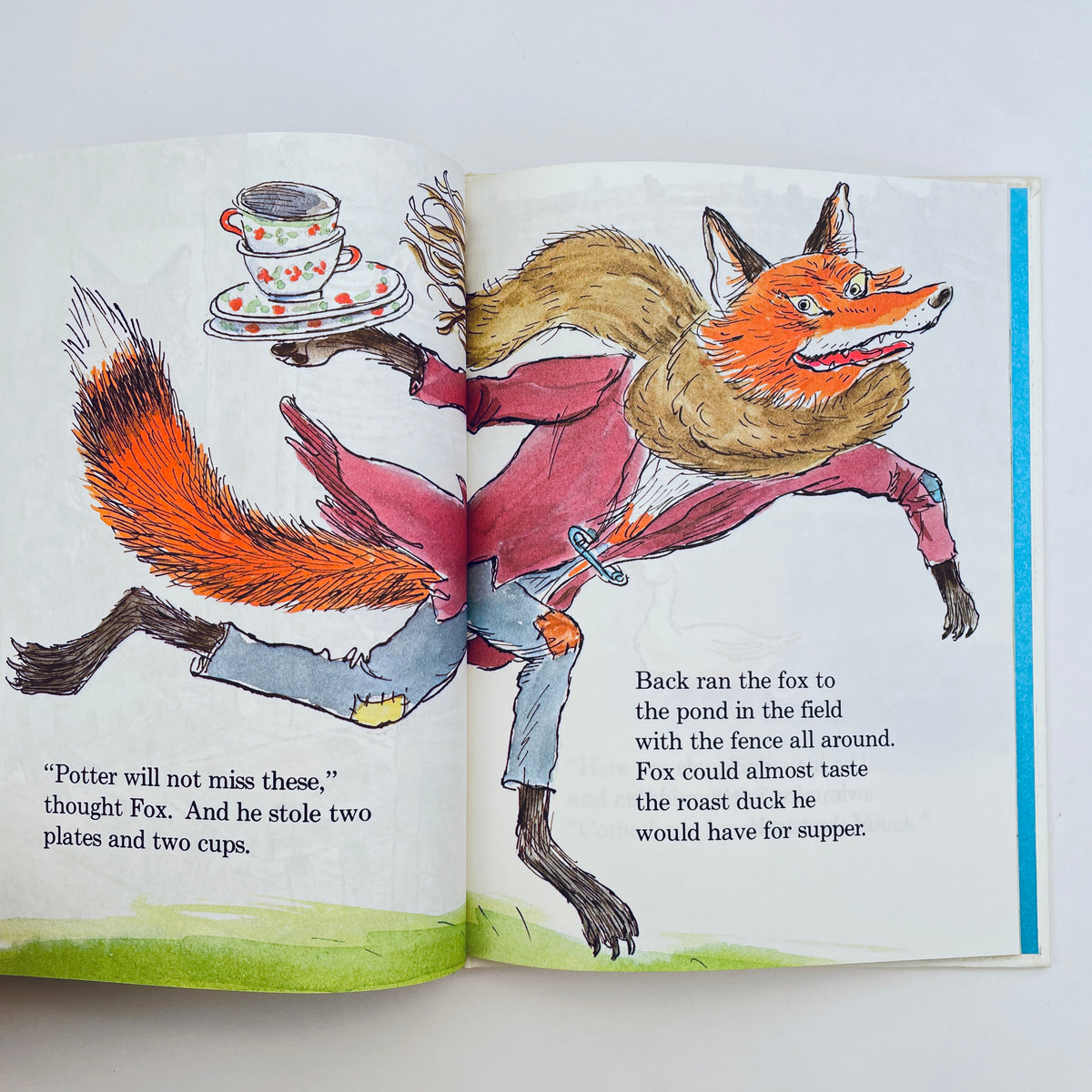 The Hungry Fox and the Foxy Duck