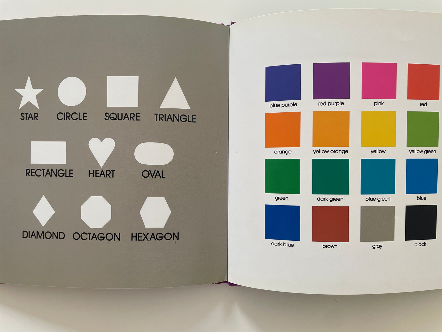 Color Zoo
