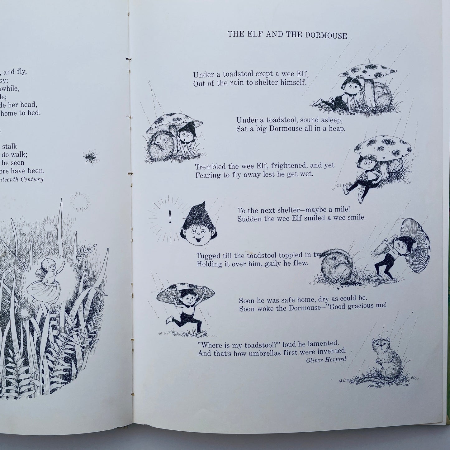 Come Follow Me...to the Secret World of Elves and Fairies and Gnomes and Trolls