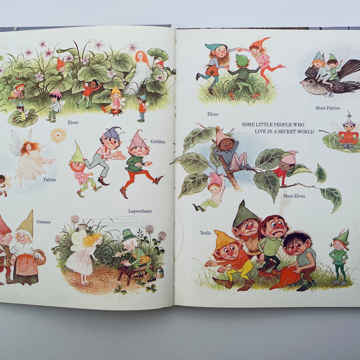 Come Follow Me...to the Secret World of Elves and Fairies and Gnomes and Trolls