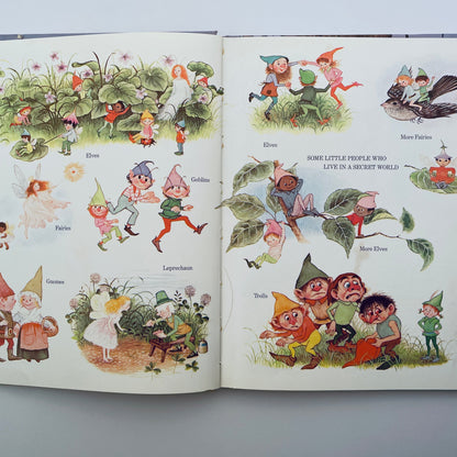 Come Follow Me...to the Secret World of Elves and Fairies and Gnomes and Trolls