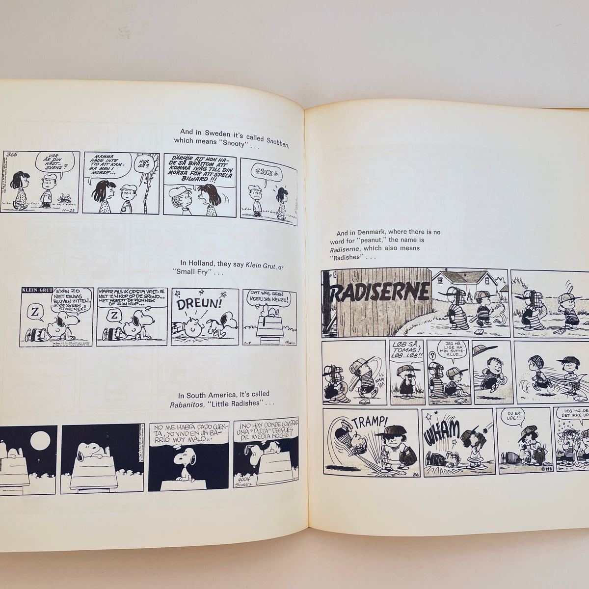 Charlie Brown & Charlie Schulz