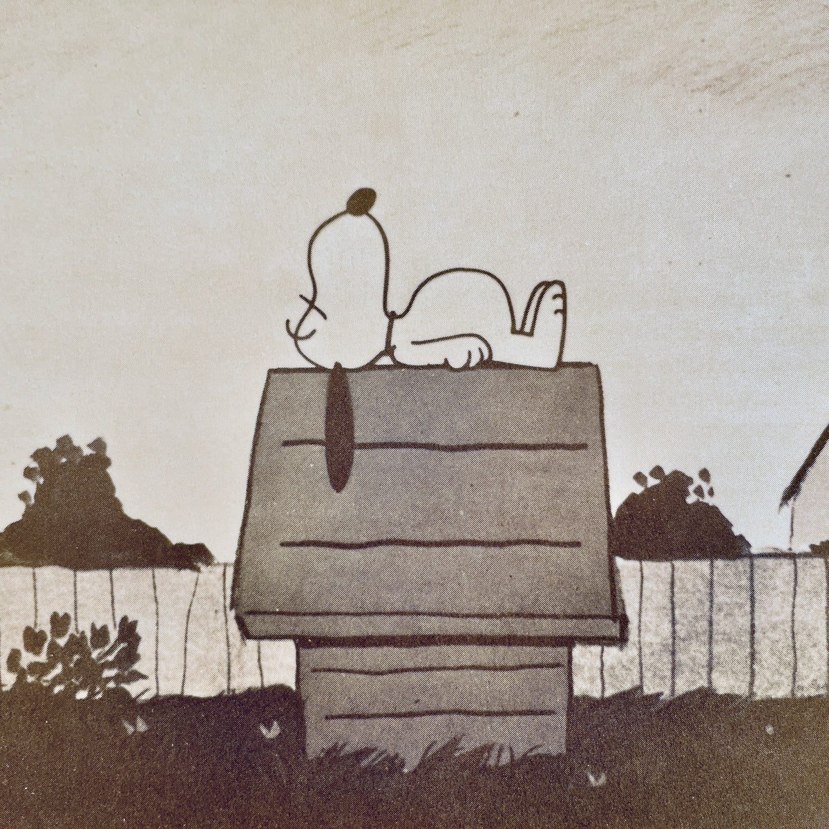 Charlie Brown & Charlie Schulz