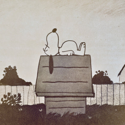 Charlie Brown & Charlie Schulz