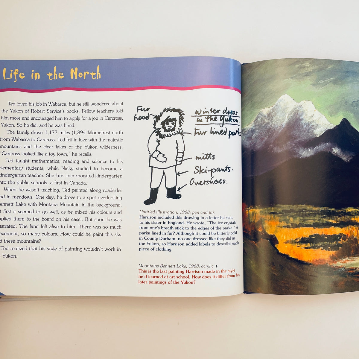 A Brush Full of Colour: The World of Ted Harrison