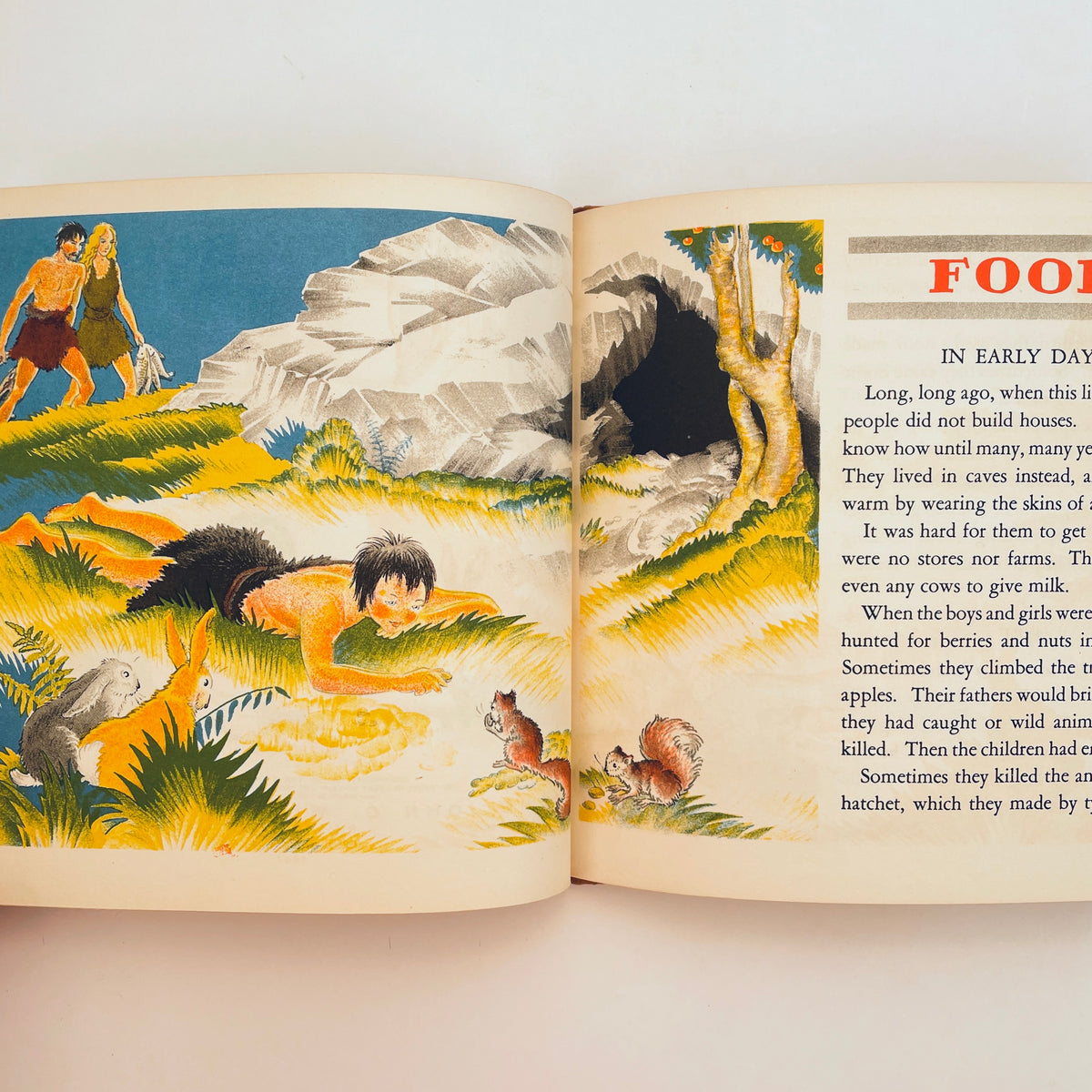 The Story Book of Food