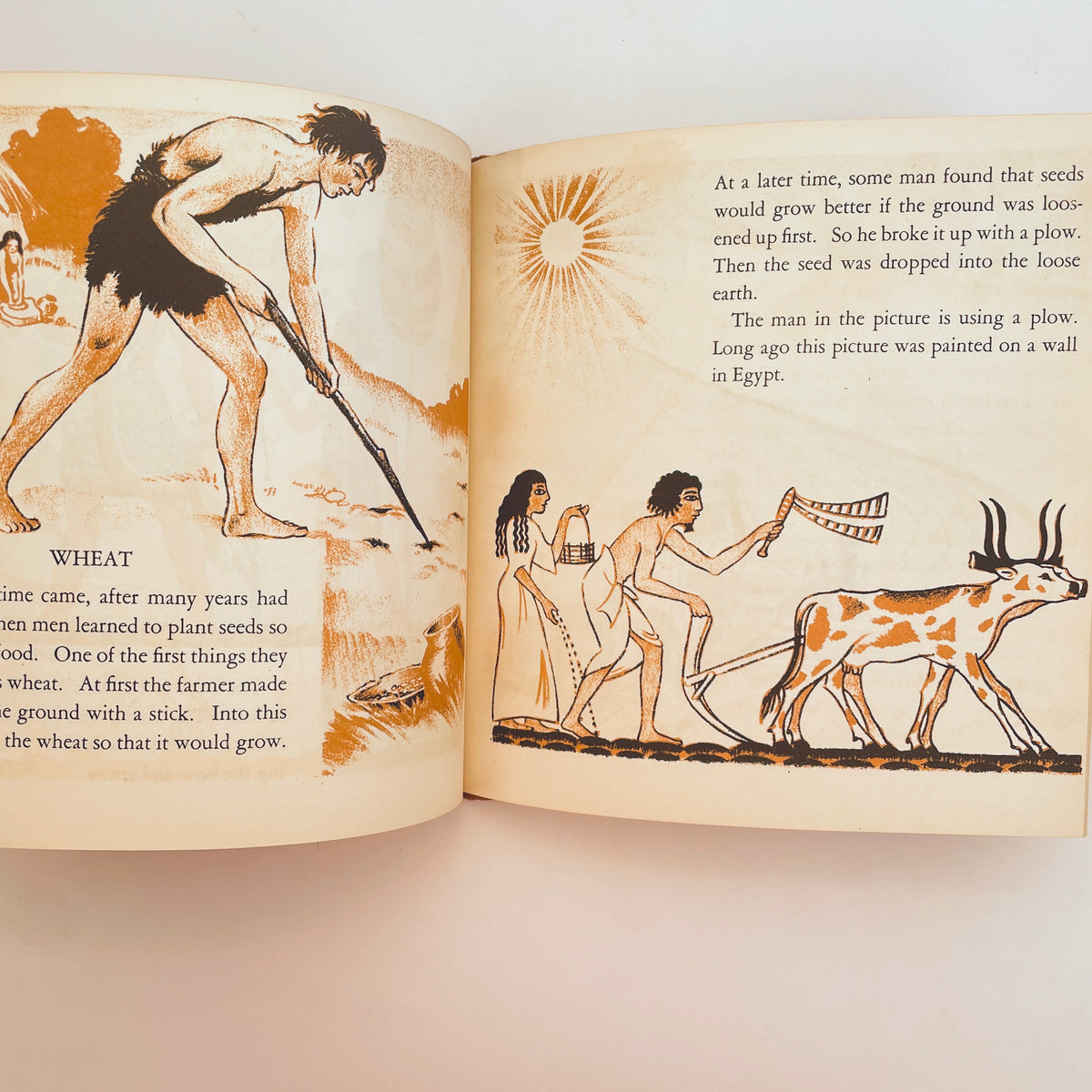 The Story Book of Food