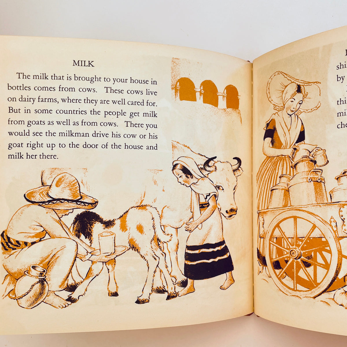 The Story Book of Food