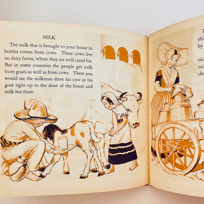 The Story Book of Food