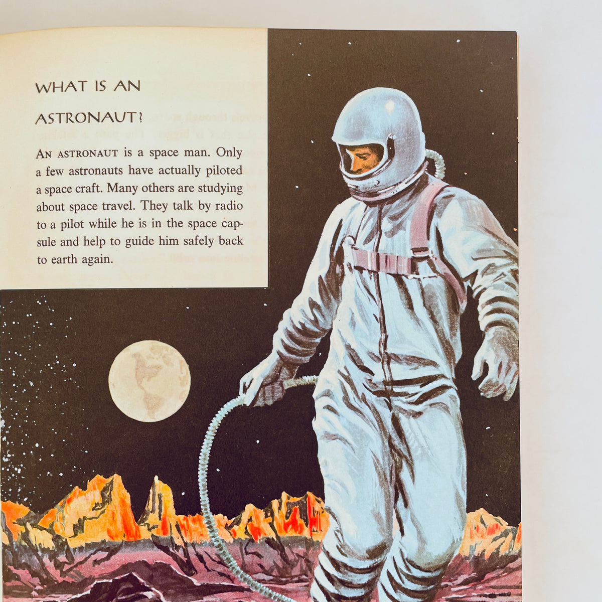 The Answer Book
