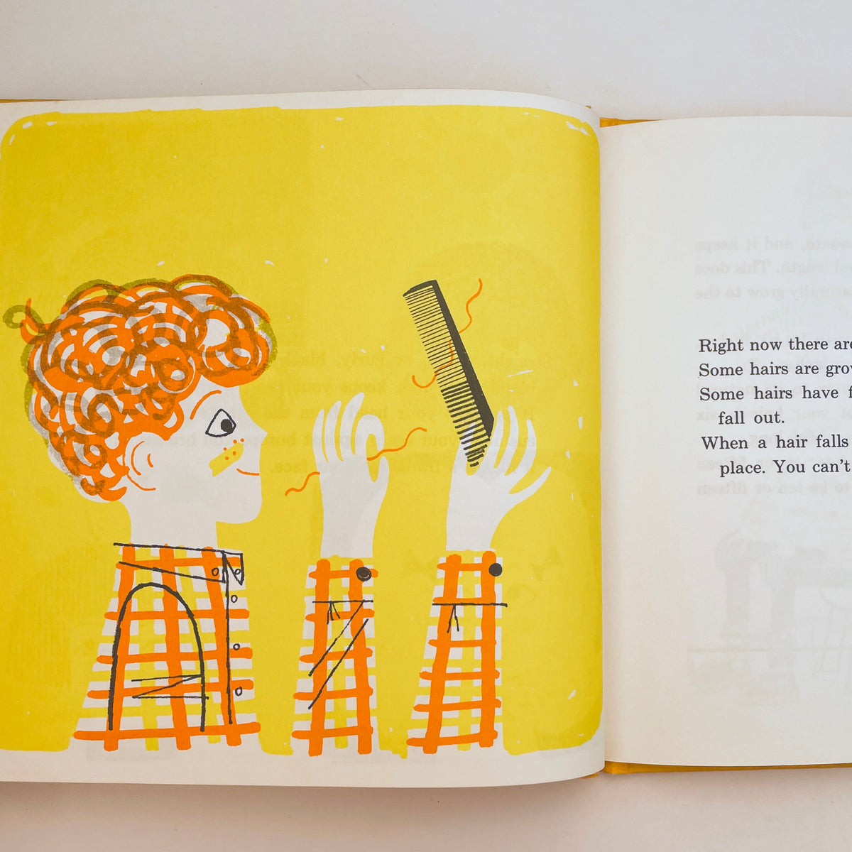 Straight Hair, Curly Hair (Let's-Read-and-Find-Out Science Book)