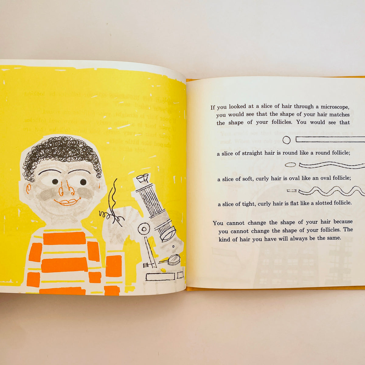 Straight Hair, Curly Hair (Let's-Read-and-Find-Out Science Book)
