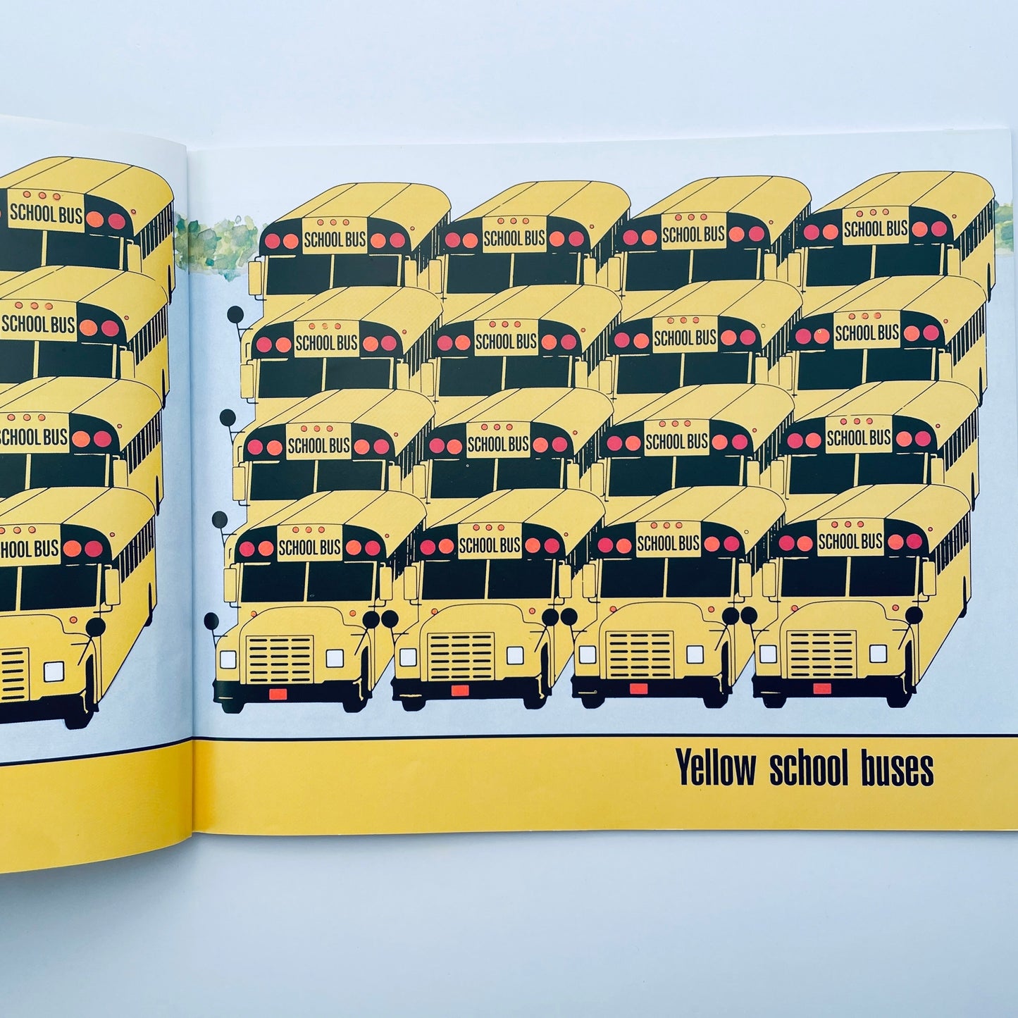 School Bus