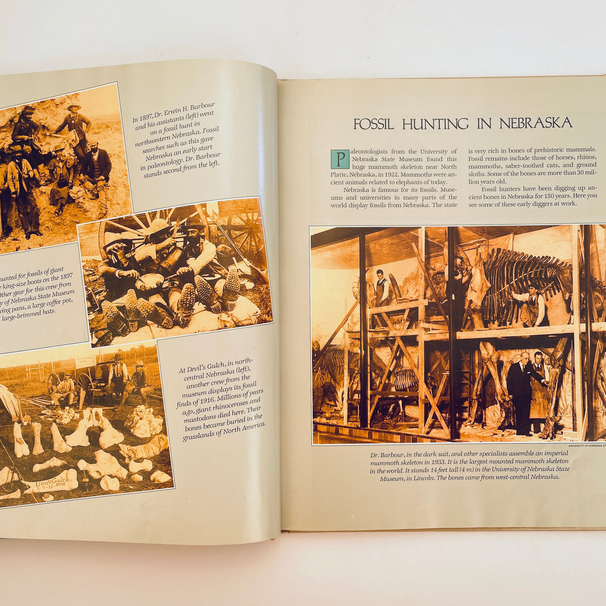 Giants From the Past (National Geographic Books for World Explorers)