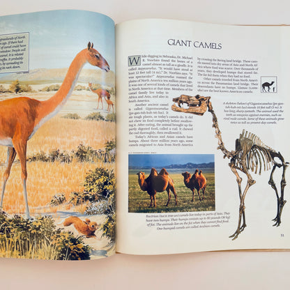 Giants From the Past (National Geographic Books for World Explorers)