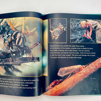 Life in Ponds and Streams (National Geographic Books for Young Explorers)