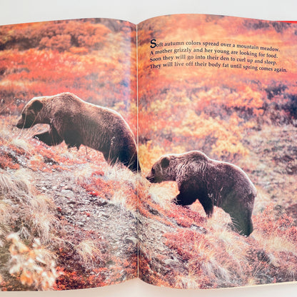 Baby Bears and How They Grow (National Geographic Books for Young Explorers)