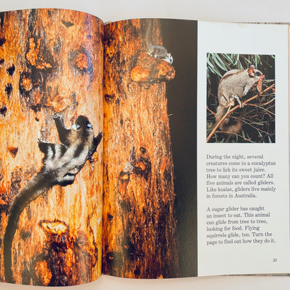 Animals That Live in Trees (National Geographic Books for Young Explorers)