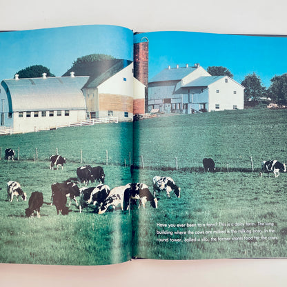 Baby Farm Animals (National Geographic Books for Young Explorers)