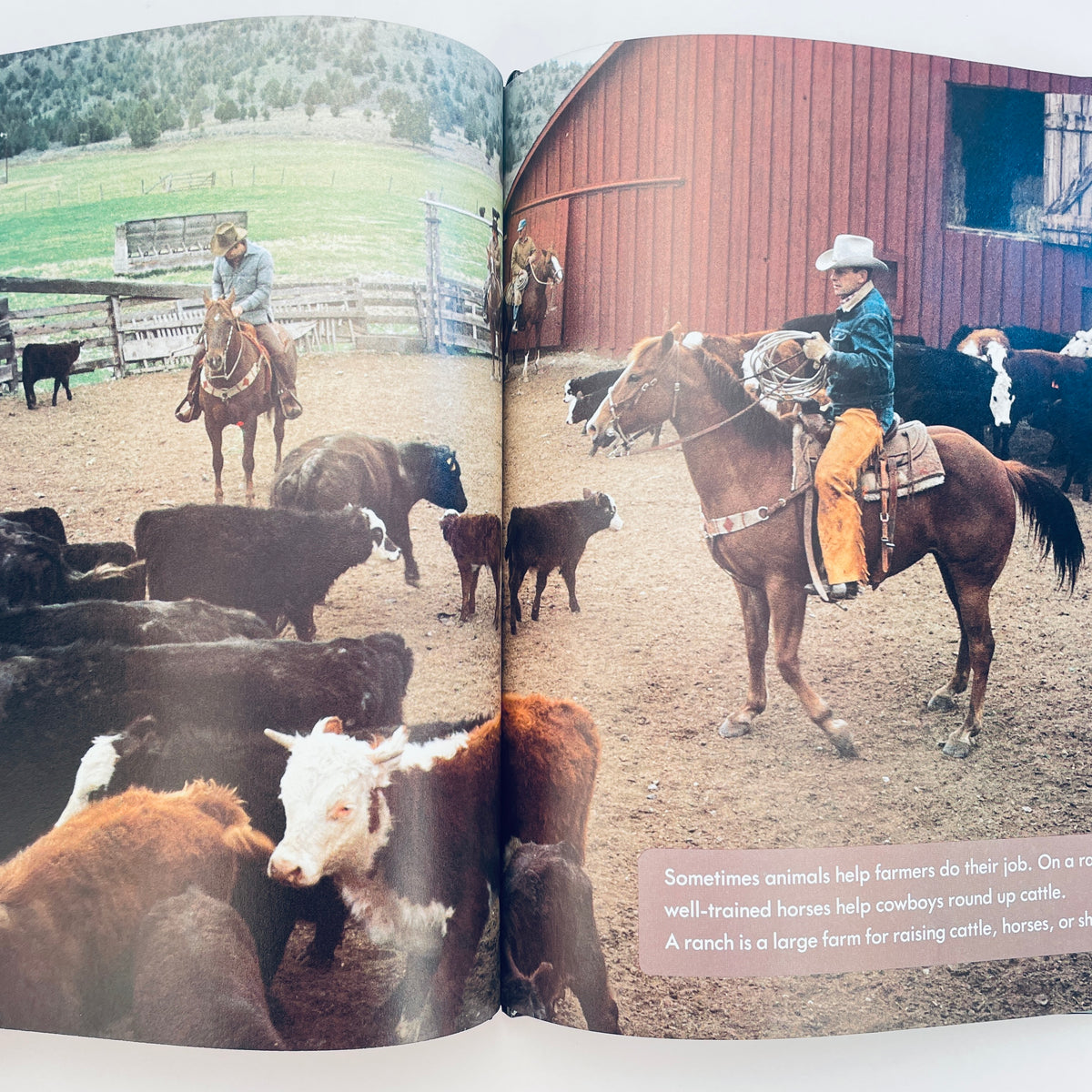 Baby Farm Animals (National Geographic Books for Young Explorers)