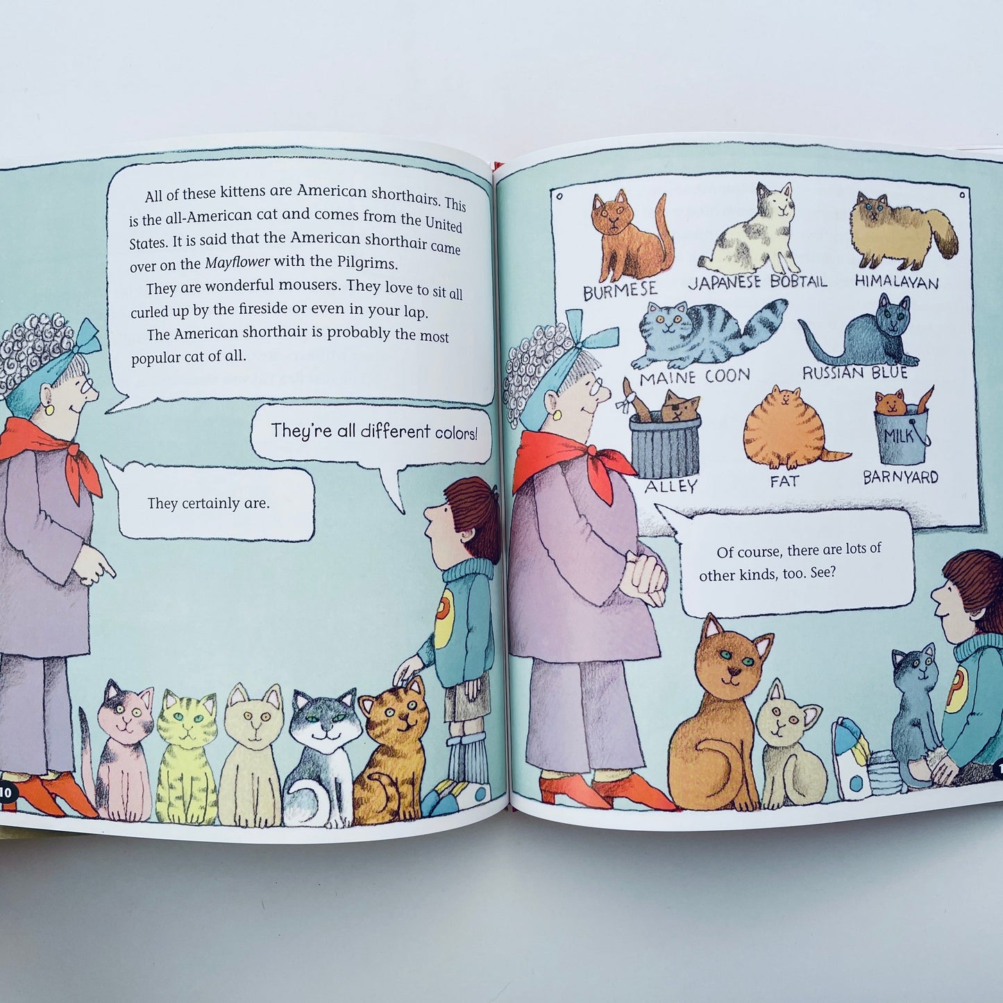 Cats and Kittens